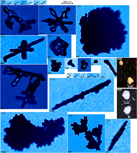 J. Geophys. Res.